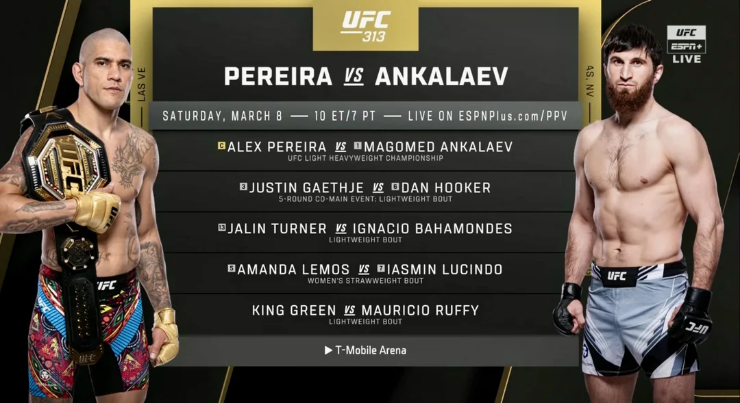 UFC 313 Pereira vs. Ankalaev live fight night poster